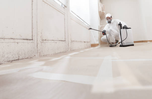 24/7 Emergency Commercial Mold Remediation experts in Reedville, VA